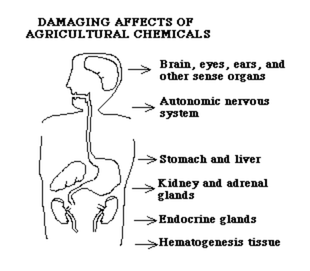 damaging affects of agricultural chemicals